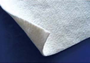 ���wᘴ̷ǿ���������